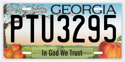 GA license plate PTU3295