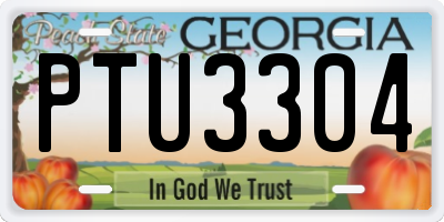 GA license plate PTU3304