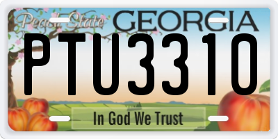 GA license plate PTU3310