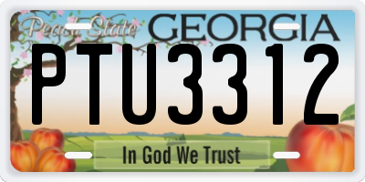 GA license plate PTU3312