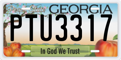 GA license plate PTU3317