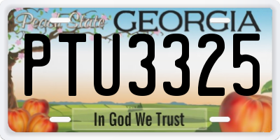GA license plate PTU3325