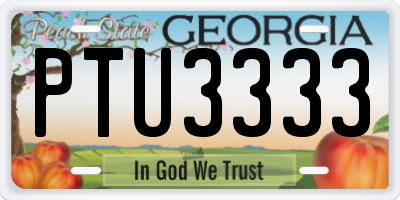 GA license plate PTU3333