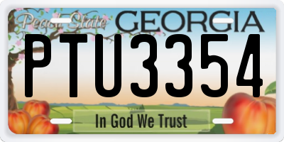 GA license plate PTU3354