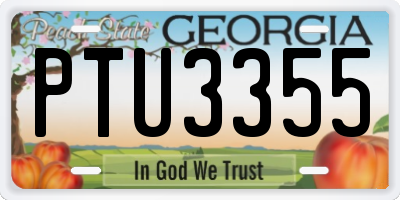 GA license plate PTU3355