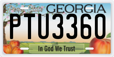 GA license plate PTU3360