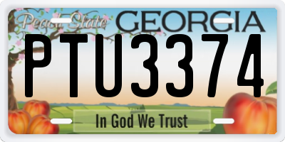 GA license plate PTU3374