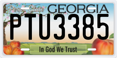 GA license plate PTU3385