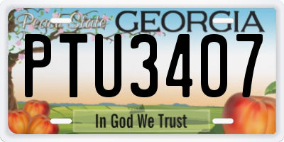 GA license plate PTU3407