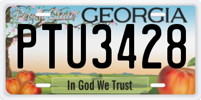 GA license plate PTU3428