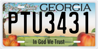 GA license plate PTU3431