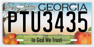GA license plate PTU3435