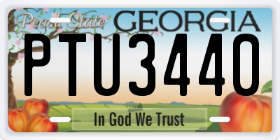 GA license plate PTU3440