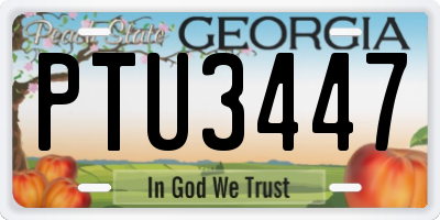 GA license plate PTU3447