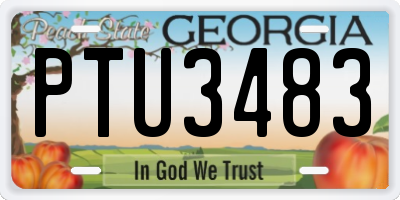 GA license plate PTU3483