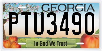 GA license plate PTU3490