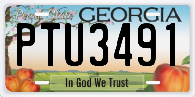 GA license plate PTU3491