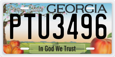 GA license plate PTU3496