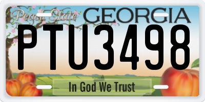 GA license plate PTU3498
