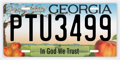 GA license plate PTU3499