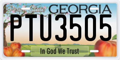 GA license plate PTU3505