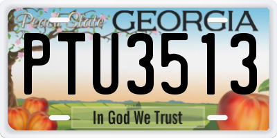 GA license plate PTU3513