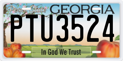 GA license plate PTU3524