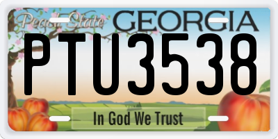 GA license plate PTU3538