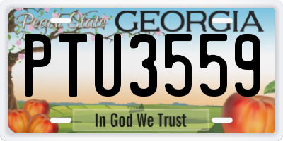 GA license plate PTU3559