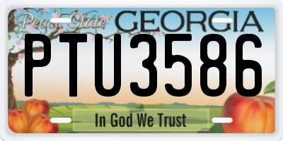 GA license plate PTU3586