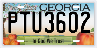 GA license plate PTU3602