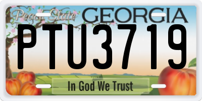 GA license plate PTU3719