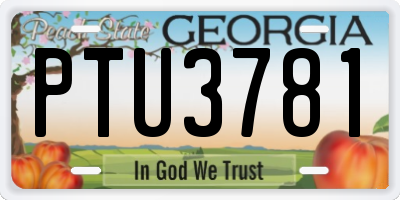 GA license plate PTU3781