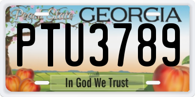 GA license plate PTU3789