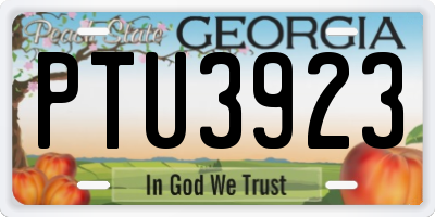 GA license plate PTU3923