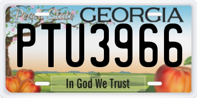 GA license plate PTU3966