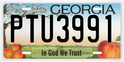 GA license plate PTU3991