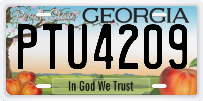 GA license plate PTU4209