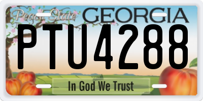 GA license plate PTU4288