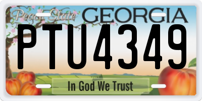 GA license plate PTU4349