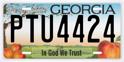 GA license plate PTU4424