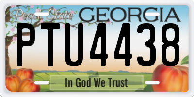 GA license plate PTU4438