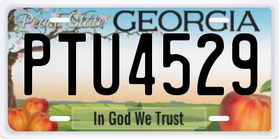 GA license plate PTU4529