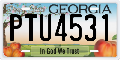 GA license plate PTU4531