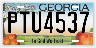 GA license plate PTU4537