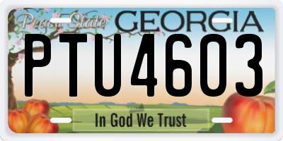 GA license plate PTU4603