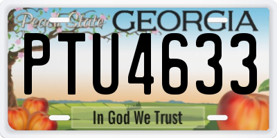 GA license plate PTU4633