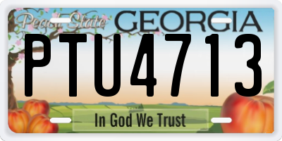 GA license plate PTU4713