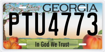 GA license plate PTU4773