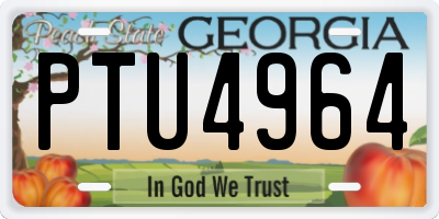 GA license plate PTU4964